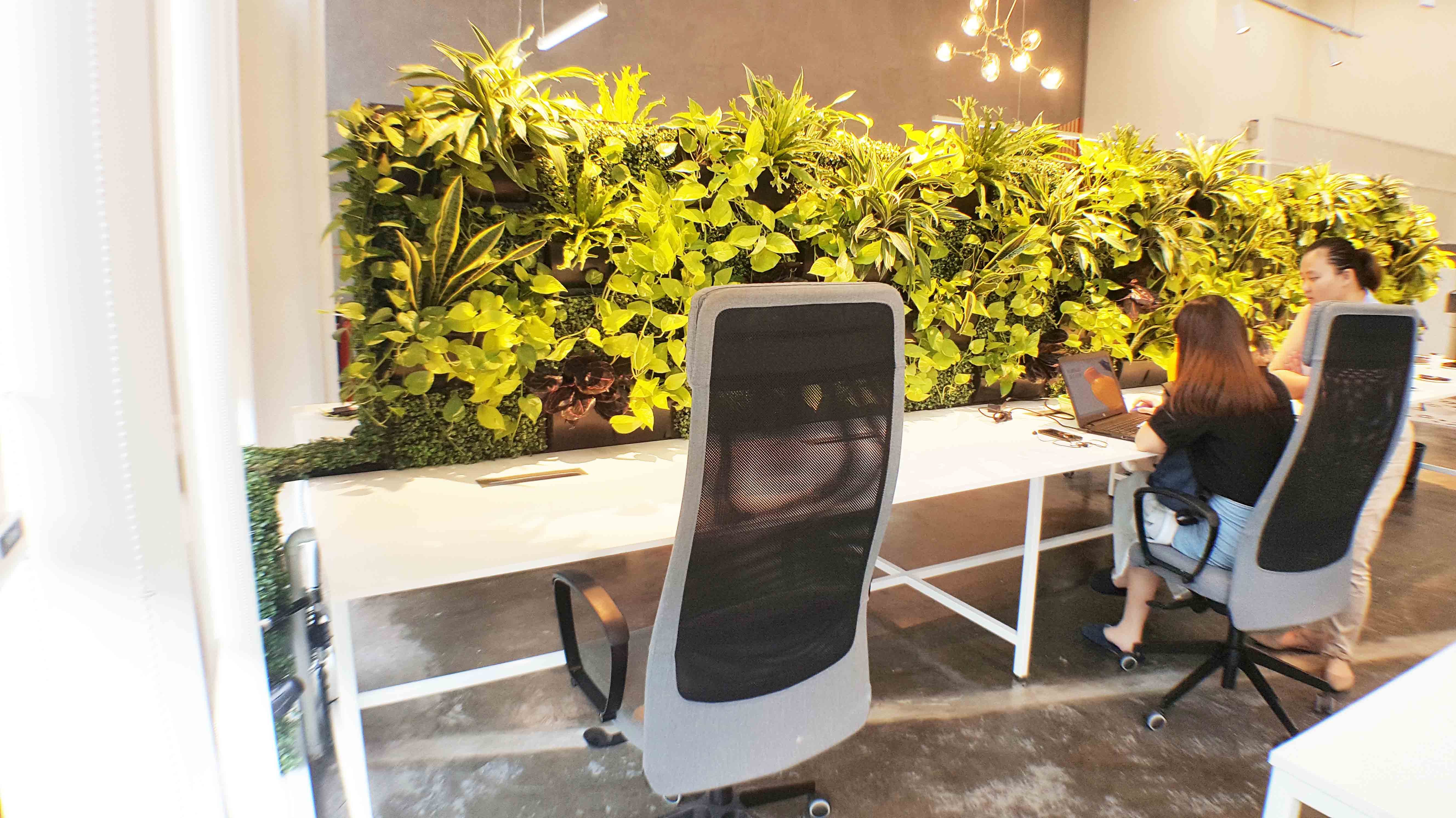 green workspace